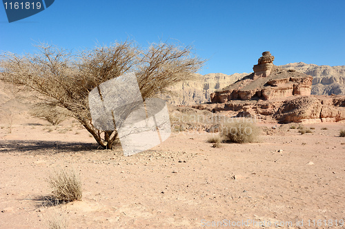 Image of Timna National Park