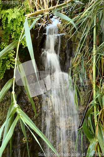 Image of one of the waterfalls in Ein Gedi Nature Reserve