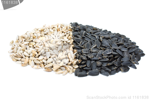 Image of Some black and shelled roasted sunflower seeds