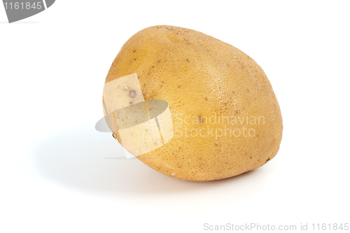 Image of Single potato