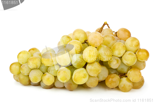 Image of Ripe green grapes