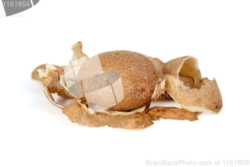 Image of Whole potato and some peel