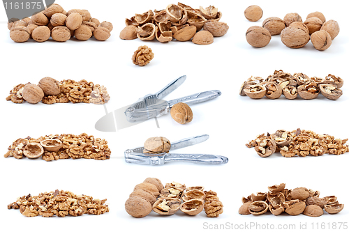 Image of Set of walnuts