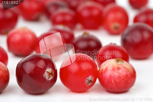 Image of Cranberries