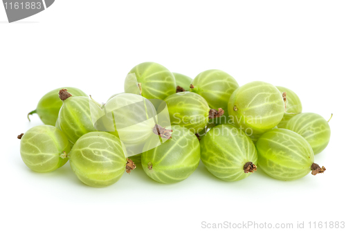 Image of Green gooseberries