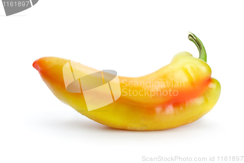 Image of Yellow-red sweet pepper