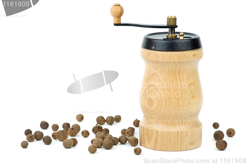 Image of Wooden spice handmill and allspice 