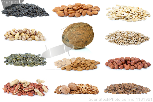 Image of Set of different nuts