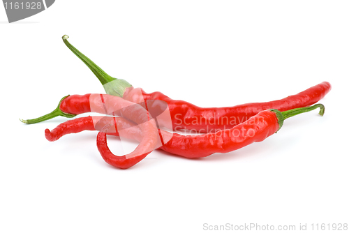 Image of Three long curved red hot chili peppers