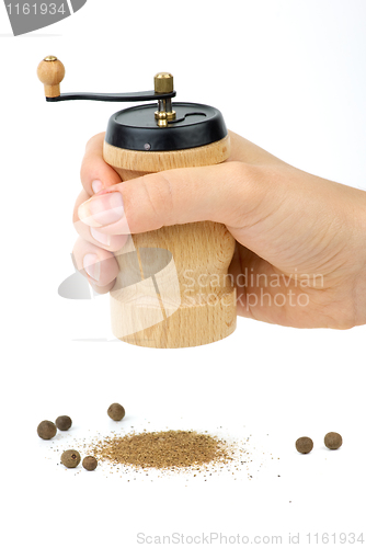 Image of Wooden spice handmill in hand and allspice 