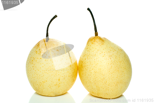 Image of Two yellow china pears 