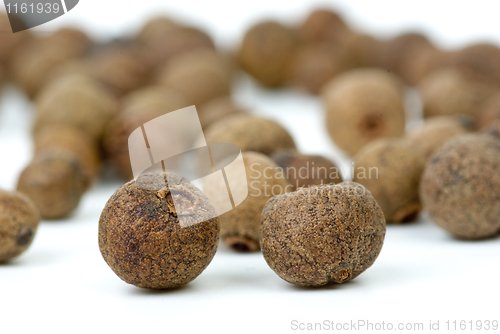Image of Close-up shot of allspice