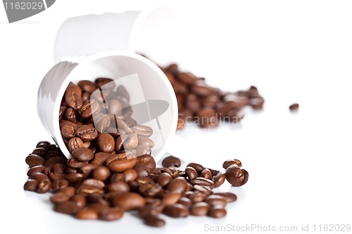 Image of coffee beans in a cups