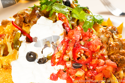 Image of fresh nachos and vegetable salad with meat