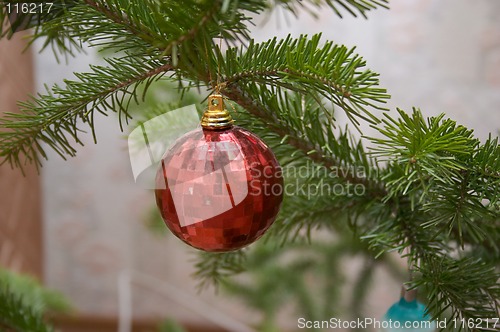 Image of Christmas decorations