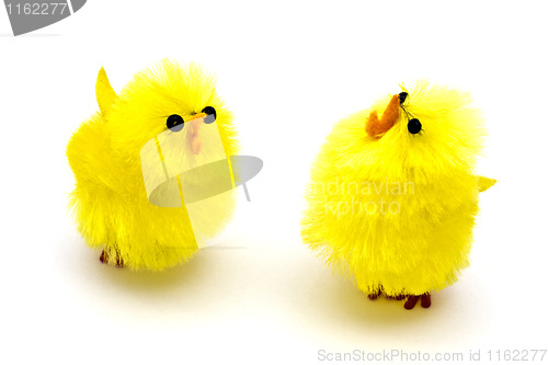 Image of Yellow chickens