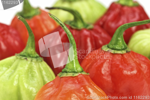 Image of pepper closeup