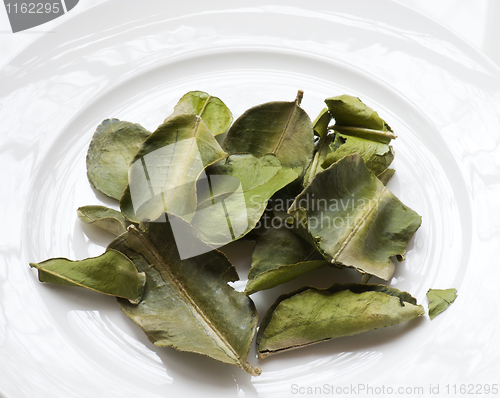 Image of Dried Kaffir Lime Leaves (Citrus hystrix)