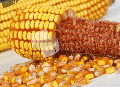 Image of corncob background