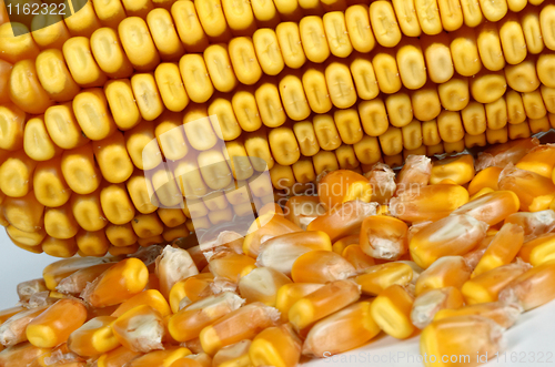 Image of corncob background
