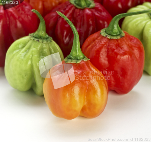 Image of pepper closeup