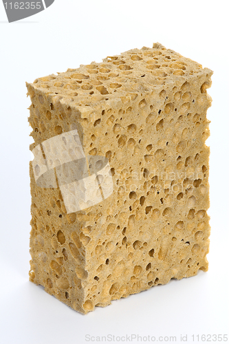 Image of classic natural sponge