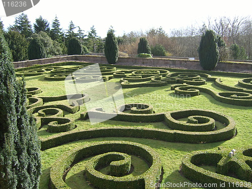 Image of Shaped Hedges