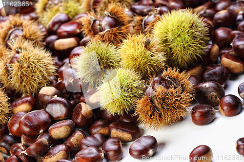 Image of chestnut background