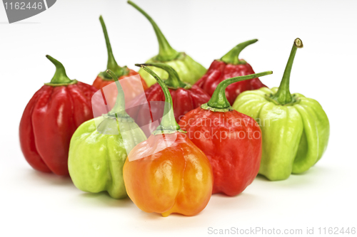 Image of chilly pepper collection background