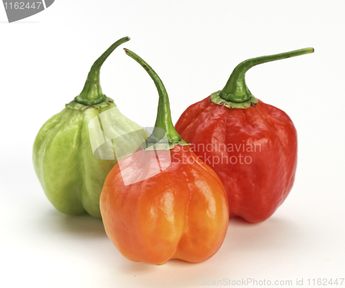 Image of chilly pepper background