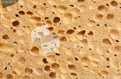 Image of sponge texture