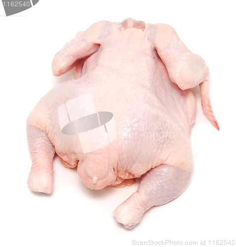 Image of raw chicken