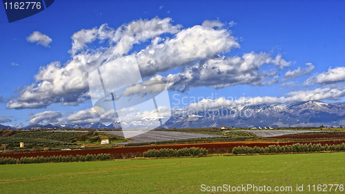 Image of green field