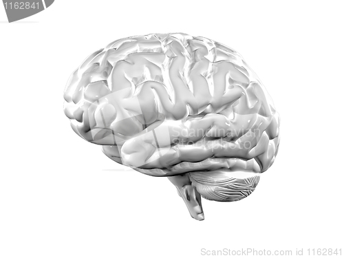 Image of 3d brain