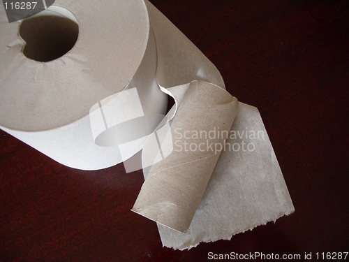 Image of Change of toilet rolls