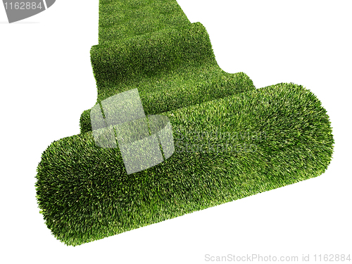 Image of green carpet