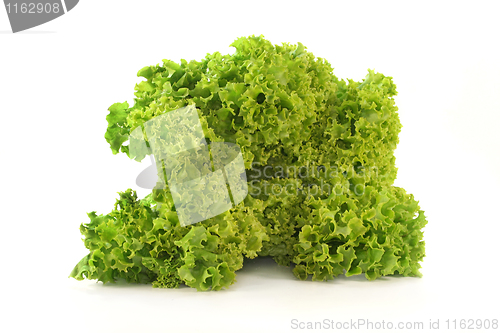 Image of Curly endive