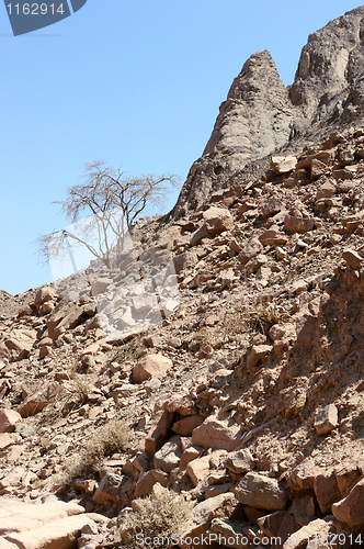 Image of Timna National Park