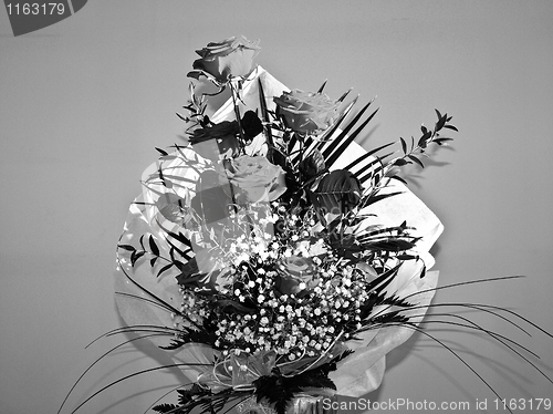 Image of Rose