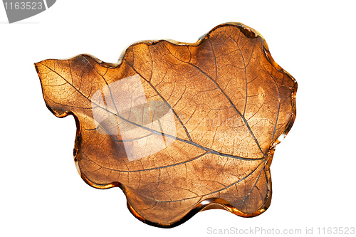 Image of Ceramic leaf