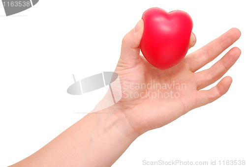 Image of heart in a hand