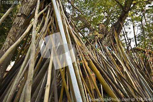 Image of Wat Phra That Lampang Luang