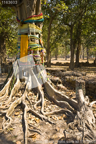 Image of Wat Chedi Chet Thaeo