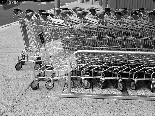 Image of Shopping carts