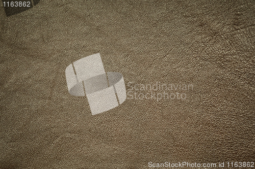 Image of leather