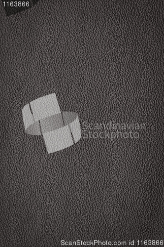 Image of leather