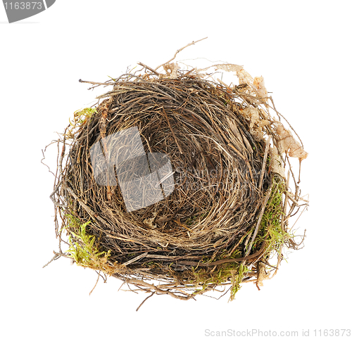 Image of Detail of blackbird nest isolated on white