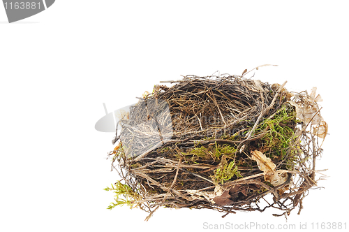 Image of Detail of blackbird nest isolated on white