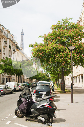 Image of The Parisian street