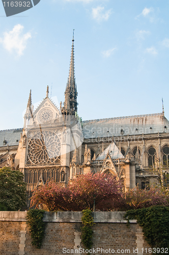 Image of Notre Dame de Paris